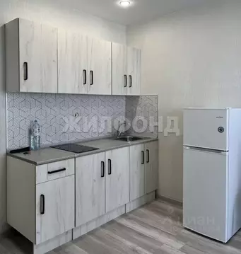 1-к кв. Новосибирская область, Новосибирск ул. Забалуева, 102/1 (19.6 ...