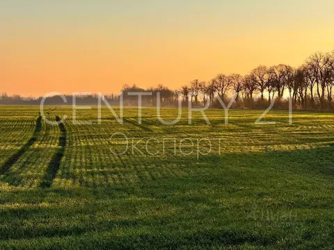 Участок в Калининградская область, Гурьевский муниципальный округ, ...