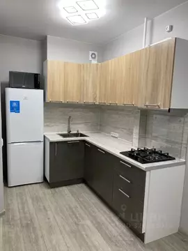 1-к кв. Псковская область, Псков Линейная ул., 85 (39.0 м)