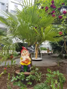 Студия Крым, Алушта ул. Платановая, 1 (39.0 м)