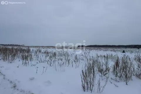 Участок в село Верховино, улица 70 лет Октября (10.47 м)