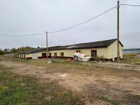 Помещение свободного назначения в Московская область, Истра ...