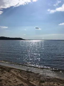 Участок в Псковская область, Куньинский район, Каськовская волость, д. ...