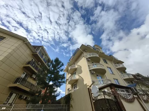 Помещение свободного назначения в Краснодарский край, Сочи Сириус пгт, ...