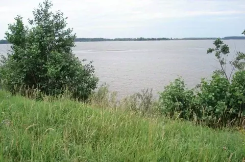 Участок в Костромская область, Кологривский муниципальный округ, д. ...