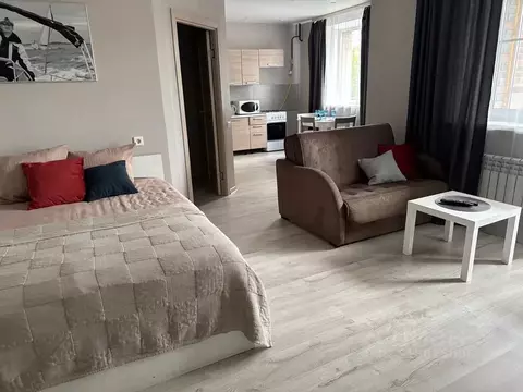 Студия Ярославская область, Ярославль ул. 1-я Веткинская, 3 (43.0 м)