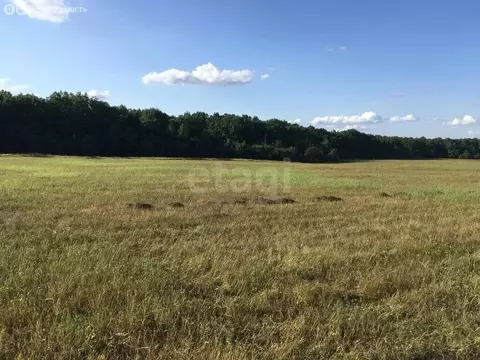 Участок в Северский район, Новодмитриевское сельское поселение, ...