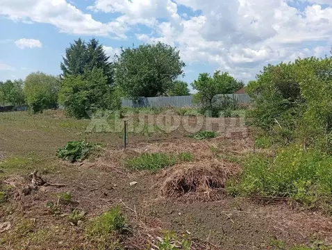Участок в Амурская область, Благовещенск  (10.0 сот.)
