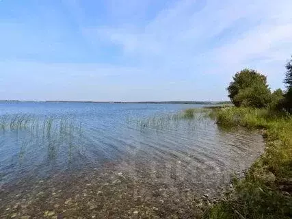 Участок в Челябинская область, Касли  (15.0 сот.)