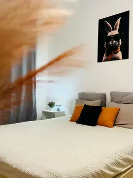 Студия Ленинградская область, Кудрово г. Всеволожский район, Заневское ...