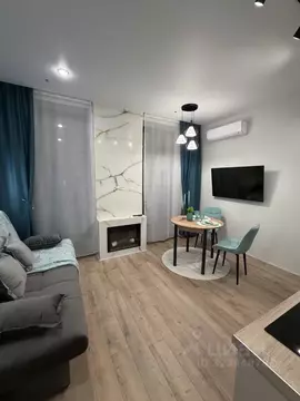 Студия Москва Березовая аллея, 19к3 (25.0 м)