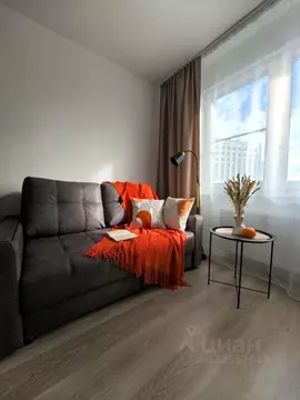 Студия Санкт-Петербург ул. Пахомовская, 12к2 (21.0 м)