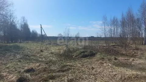 Участок в Смоленская область, Рославльский муниципальный округ, с. ...