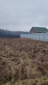 Участок в Владимирская область, Александровский муниципальный округ, ...