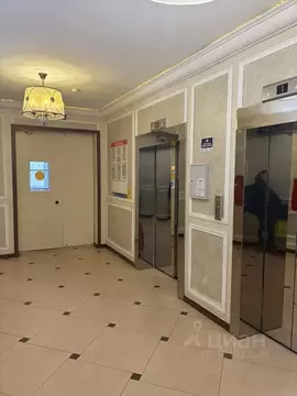 Студия Санкт-Петербург Московский просп., 183-185Ак2 (23.8 м)