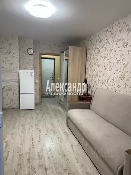 Студия Ленинградская область, Мурино Всеволожский район, просп. ...