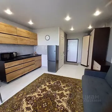 Студия Тюменская область, Тюмень Одесская ул., 3с1 (22.8 м)