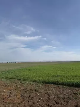 Участок в Крым, Сакский район, с. Суворовское  (130.0 сот.)