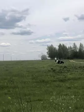 Участок в Тульская область, Щекинский район, Яснополянское с/пос, с. ...