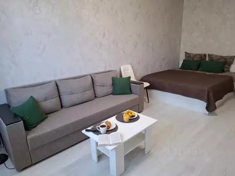 1-к кв. Волгоградская область, Волгоград Советская ул., 32 (30.0 м)