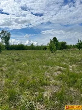 Участок в Калининградская область, Гурьевский муниципальный округ, ...