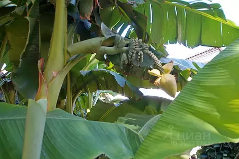 Дом в Краснодарский край, Анапа муниципальный округ, с. Витязево ул. ...