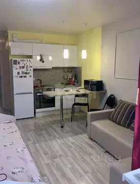 Студия Санкт-Петербург пос. Шушары, просп. Новгородский, 4 (23.2 м)