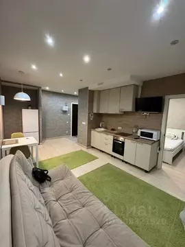 1-к кв. Ленинградская область, Гатчина Пушкинское ш., 13к3 (36.0 м)