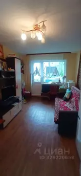 Комната Пермский край, Пермь ул. Степана Разина, 34/3 (24.0 м)