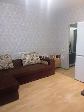 Студия Новосибирская область, Новосибирск ул. Одоевского, 1/8 (21.9 м)