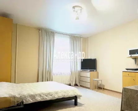 Студия Санкт-Петербург ул. Коллонтай, 17к2 (30.0 м)