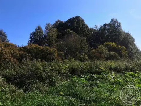 Участок в Ленинградская область, Выборгский район, пос. Гончарово  ...