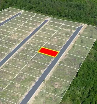 Участок в Калужская область, Совхоз Боровский с/пос, д. Николаевка  ...