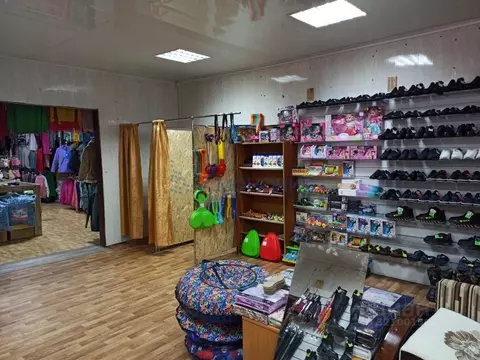 Помещение свободного назначения в Нижегородская область, с. Гагино ул. ...