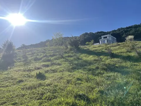 Участок в Крым, Ялта городской округ, Никита пгт ул. Имени Героя ...