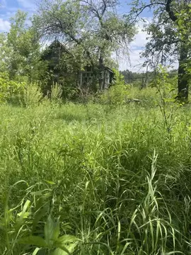 Дом в Брянская область, Брянск Прогресс СНТ,  (26 м)