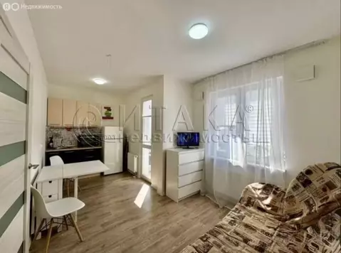 Квартира-студия: Санкт-Петербург, Муринская дорога, 12к1 (19.5 м)