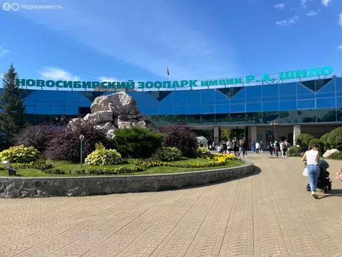 3-комнатная квартира: Новосибирск, улица Дуси Ковальчук, 83 (56 м)