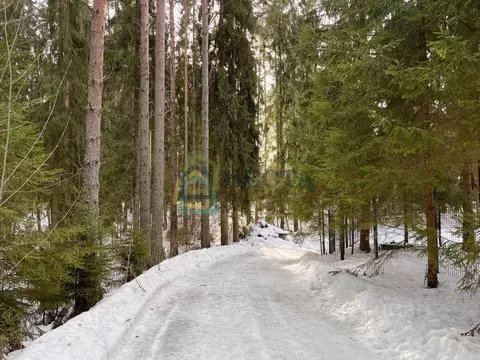 Участок в Ленинградская область, Всеволожский район, Куйвозовское ...