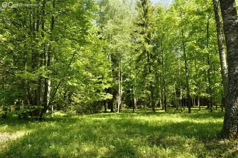 Участок в Одинцовский городской округ, хутор Одинцовский, 17 (12.04 м)