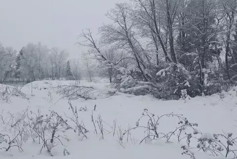 Участок в Московская область, Дмитровский муниципальный округ, пос. ...