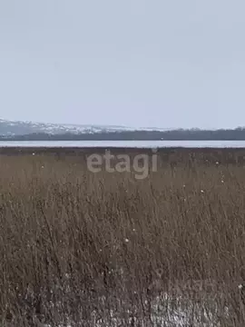 Участок в Белгородская область, Белгородский район, Головинское с/пос, ...