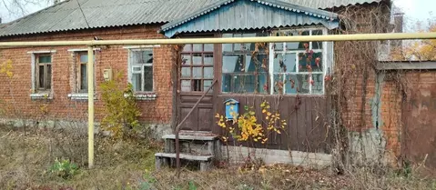 Дом в Воронежская область, Новоусманский район, с. Орлово Октябрьская ...