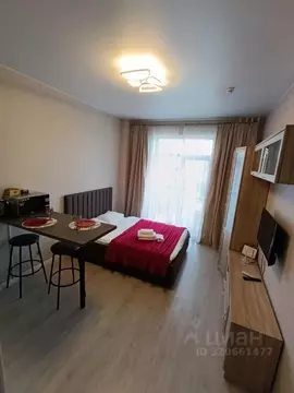 1-к кв. Санкт-Петербург Пулковское ш., 14с6 (26.0 м)