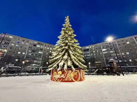 2-к кв. Мурманская область, Мурманск ул. Баумана, 2 (45.0 м)