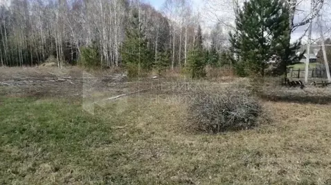 Участок в Тюменская область, Нижнетавдинский муниципальный округ, пос. ...