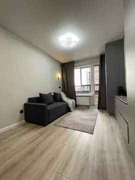 Студия Воронежская область, Воронеж ул. Независимости, 78Бк4 (24.9 м)