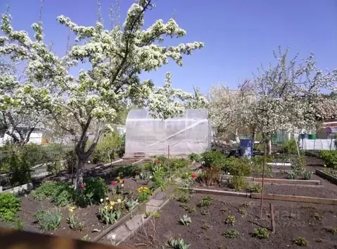 Участок в Свердловская область, Екатеринбург Западный-2 СНТ,  (4.0 ...