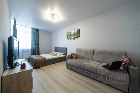 1-к кв. Самарская область, Самара Ново-Садовая ул., 215Б (50.0 м)