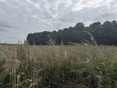 Участок в Московская область, Кашира городской округ, д. Яковское  ...